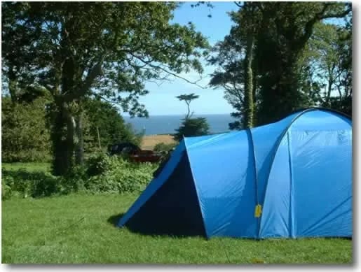 Trewince Farm Touring gallery 2