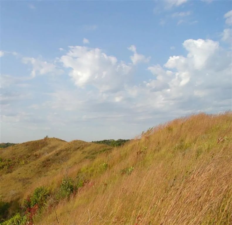 Hitchcock County Nature Center
