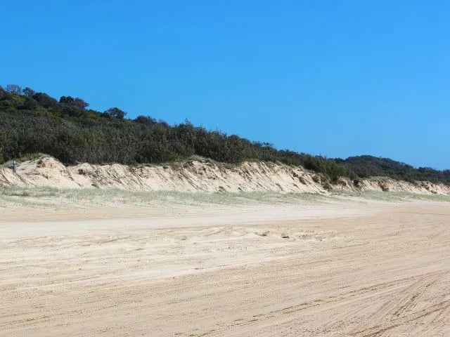 Beach camping zone 2 – One Tree Cornwells Gabala K`gari (Fraser Island) Recreation Area gallery 2