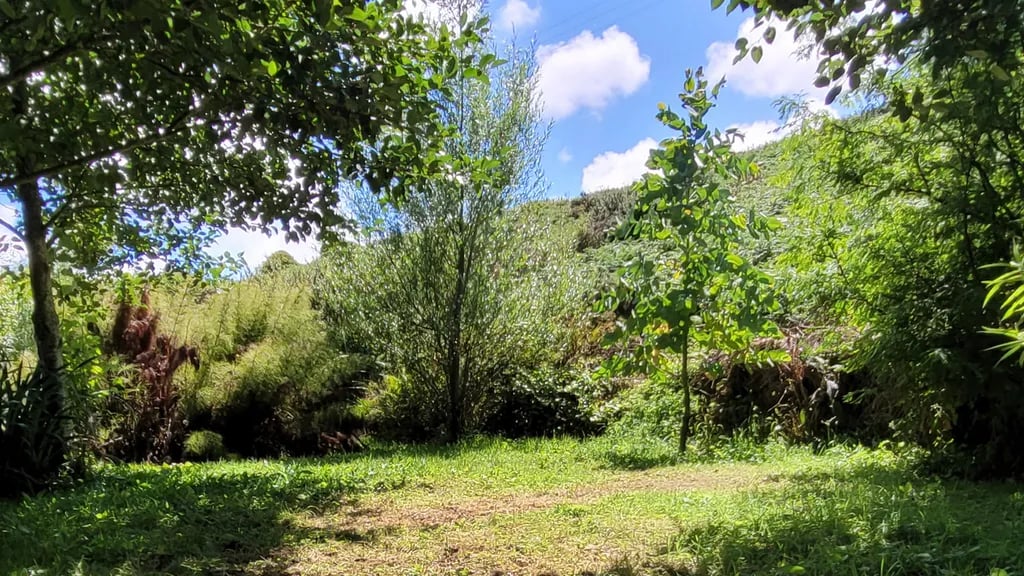 Little Leat gallery 2