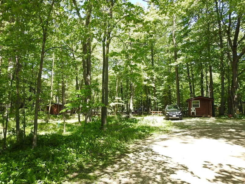 Mapleview Campground gallery 1