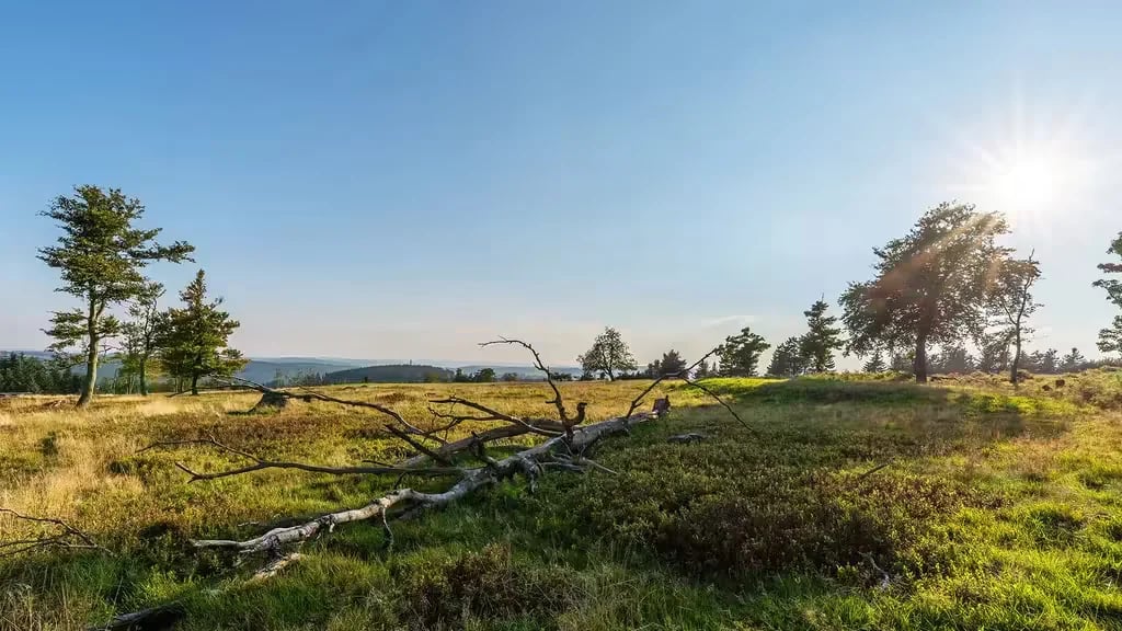 Campingplatz Winterberg