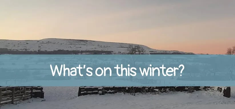 Wensleydale Glamping Pods