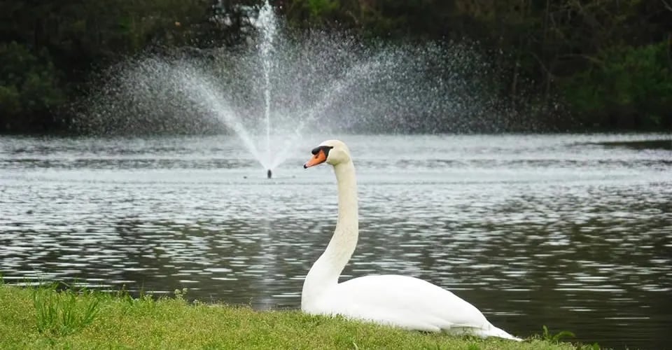 Briarcliffe RV Resort gallery 1