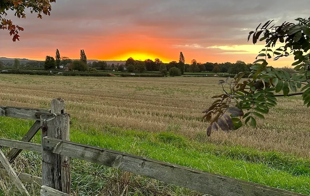 Yapham Holds Farmhouse Campsite gallery 1