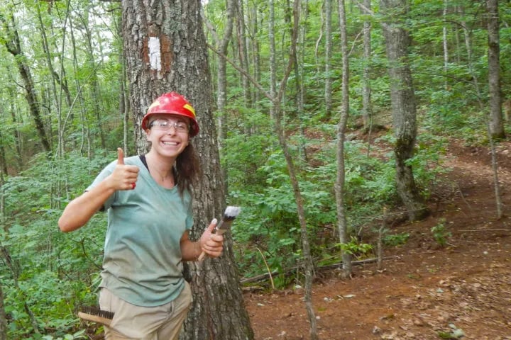 Spaulding Mountain Lean-to — Appalachian National Scenic Trail gallery 3