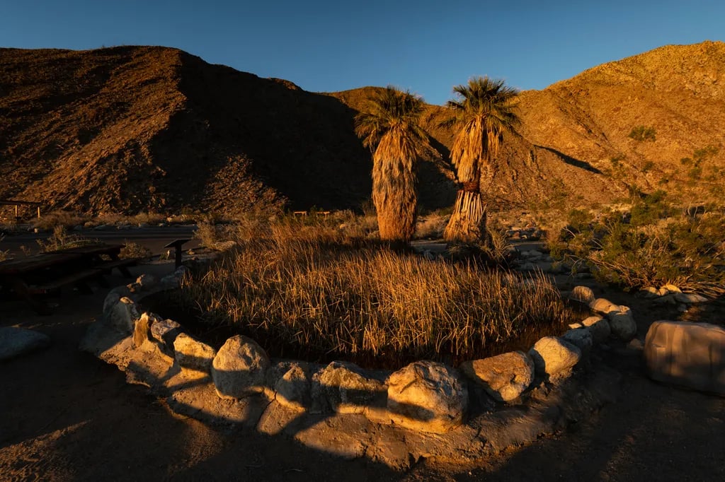 Anza-Borrego Desert State Park gallery 3