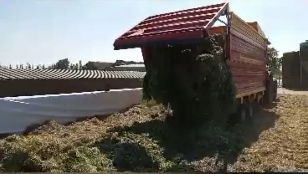 De Grote Leigraaf gallery 2