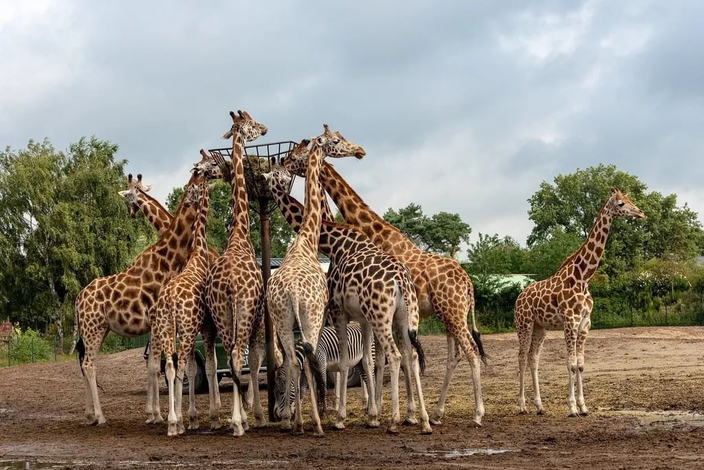 Recreatiepark Prinsenmeer