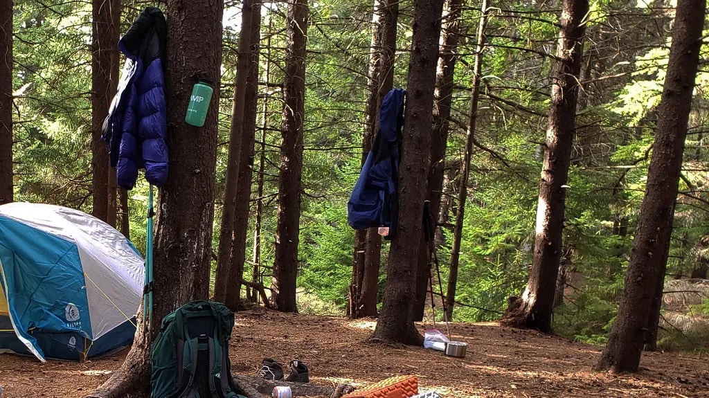 War Ridge / Backus Mountain Campground — New River Gorge National Park and Preserve gallery 1