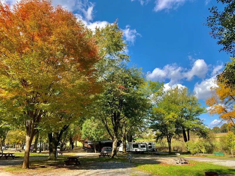 Old Mill Stream Campground gallery 2