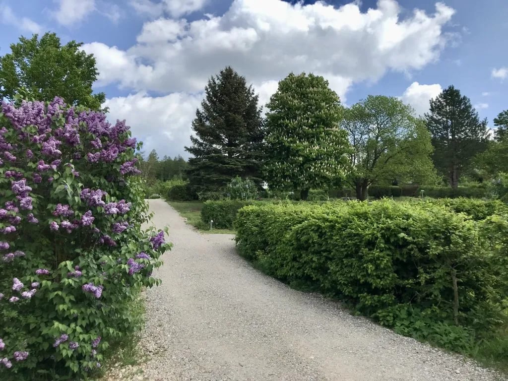 Wohnmobil- und Campingpark Ambergau gallery 2