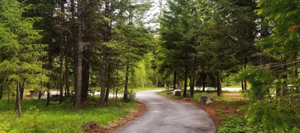 The Lost Moose gallery 3