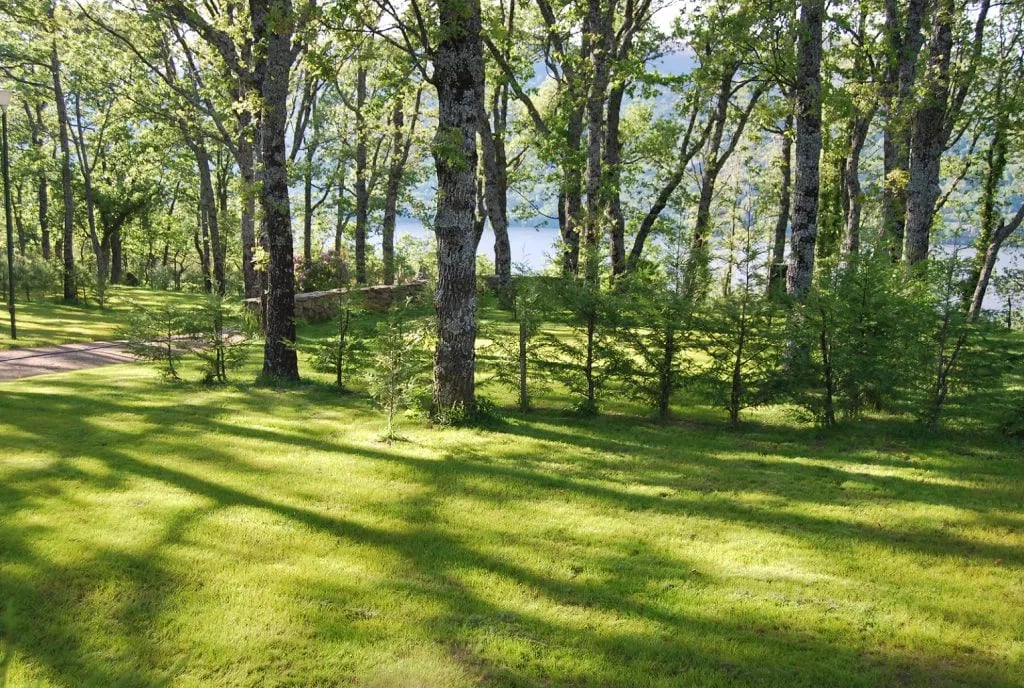 Camping los Robles gallery 1