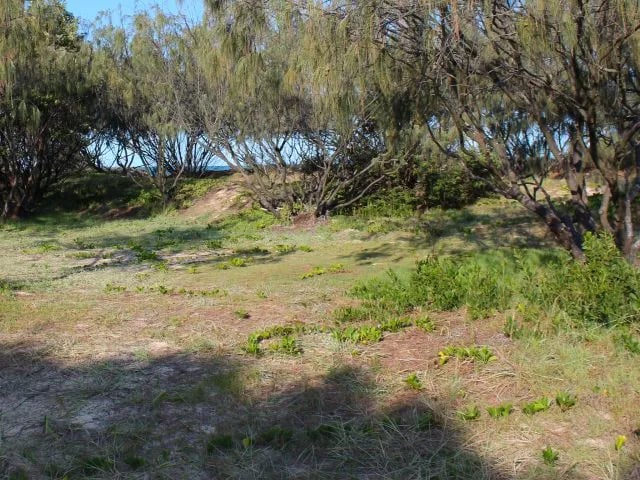 Beach camping zone 1 – Govi and Wongai, K’gari (Fraser Island) Recreation Area gallery 3