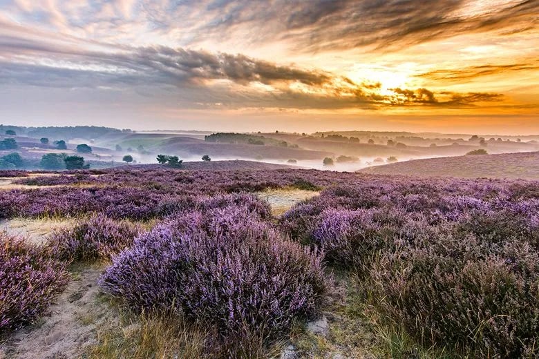 Camping Zonnecamp gallery 2