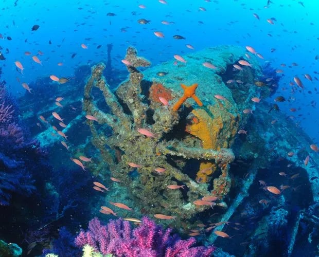 Camping International