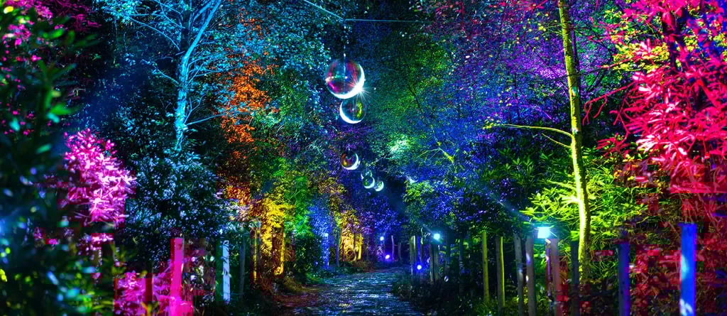 Clippesby Hall gallery 3