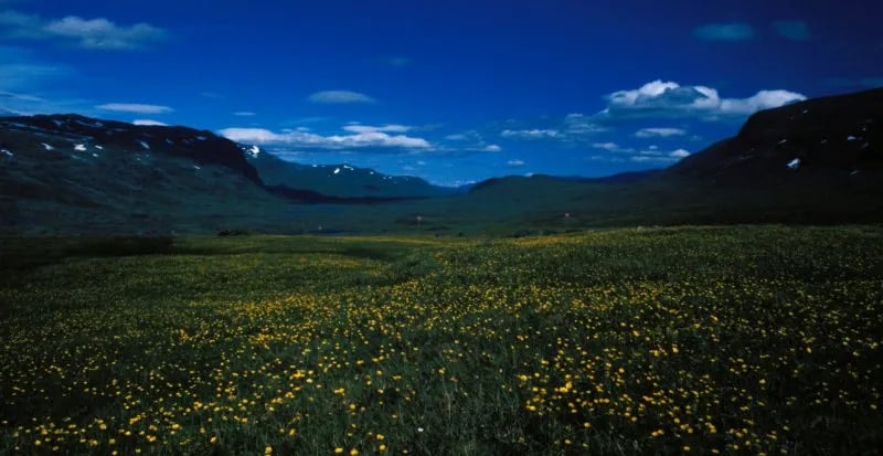 Camping Trollsparvens gallery 1