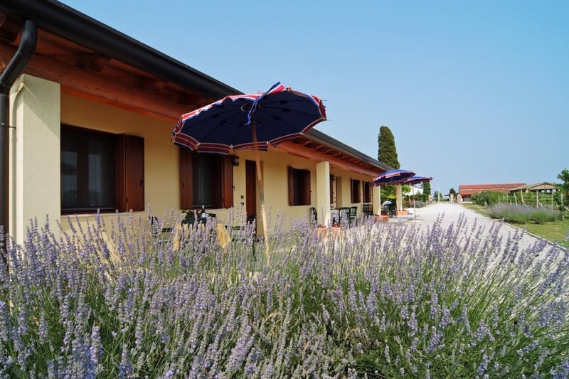 Tenuta Regina Agriturismo e Glamping gallery 2
