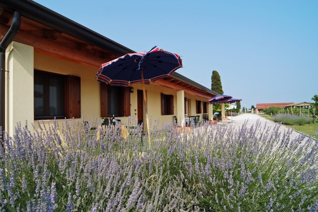 Tenuta Regina Agriturismo e Glamping gallery 2