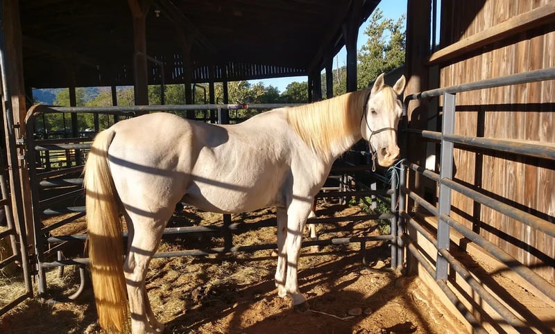 Graves Mountain Farm Campground