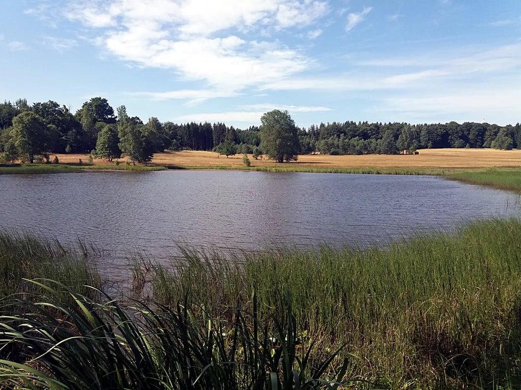 Campingplatz  Amalienhof gallery 3
