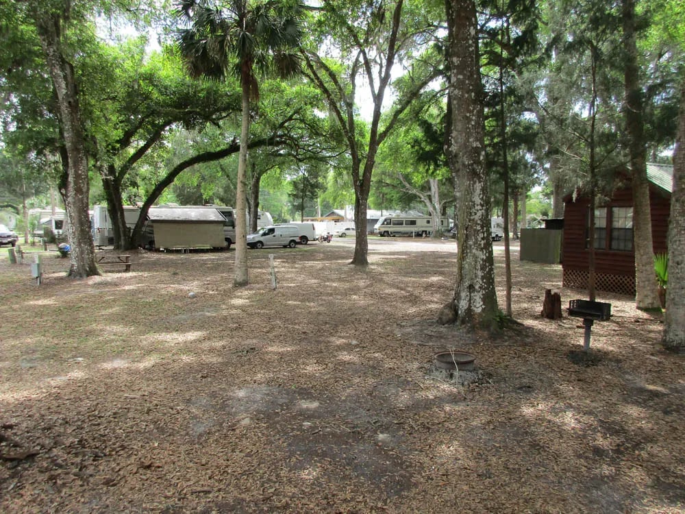 St Johns River Campground gallery 3