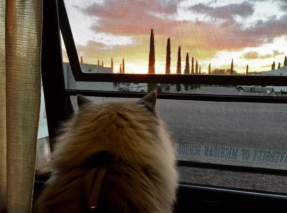 Bisbee RV Park gallery 3