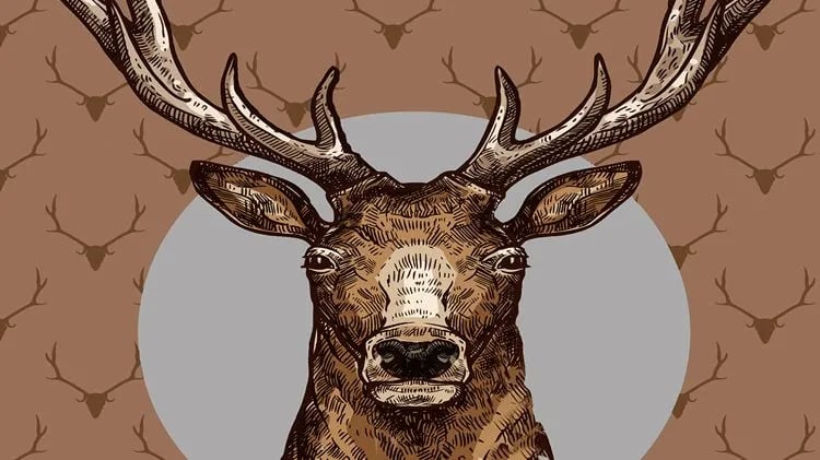 Military Park Fort Leonard Wood Lake of the Ozarks Recreation Area gallery 1