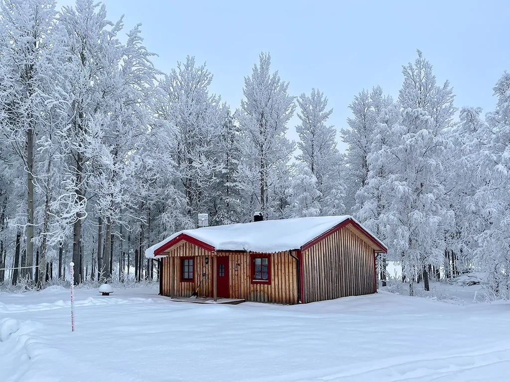Saiva Camping