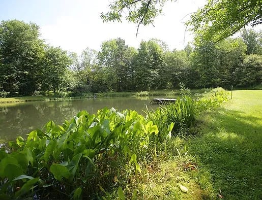 Empire Haven Nudist Resort and Campground gallery 1