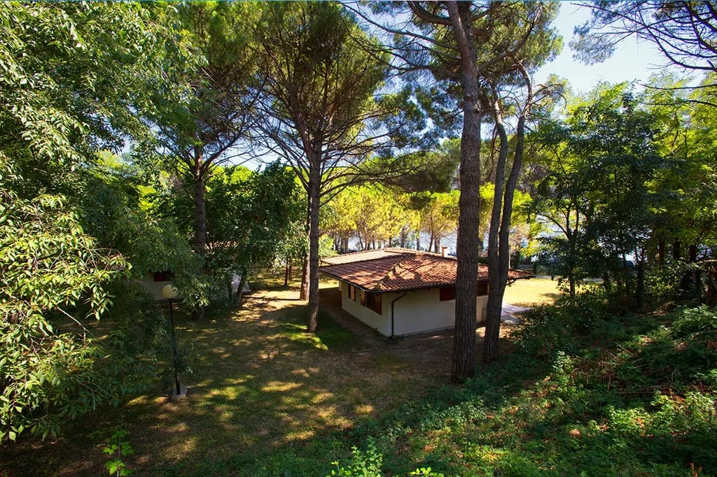 Campeggio Belvedere Pineta gallery 2