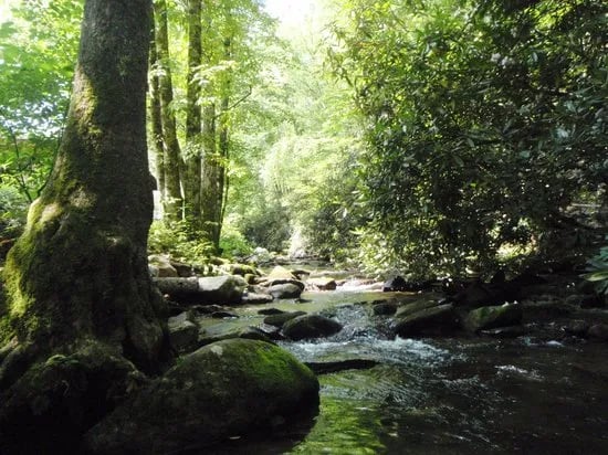 Tumbling Waters Campground and Trout Pond gallery 3