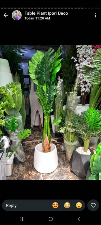 INTERIOR AND FLOWERS