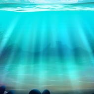bigger-bass-splash