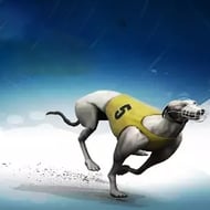 instant-greyhounds