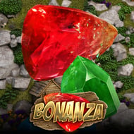 bonanza-2860