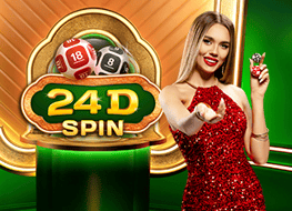 24-d-spin
