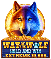 way-of-the-wolf-hold-and-win-extreme-10000