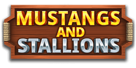 mustangs-and-stallions