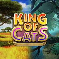 king-of-cats