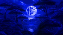 bonanza-link-midnight-train