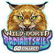 wild-north-radiant-skies-go-collect