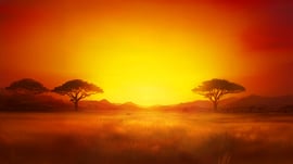 4-african-drums