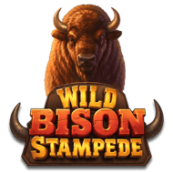 wild-bison-stampede--2