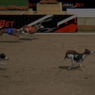 virtual-dogs