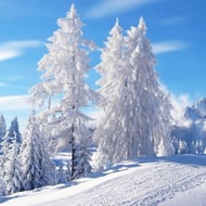 Freezing Classics