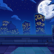 Raccoon Raiders