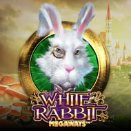 white-rabbit-1655